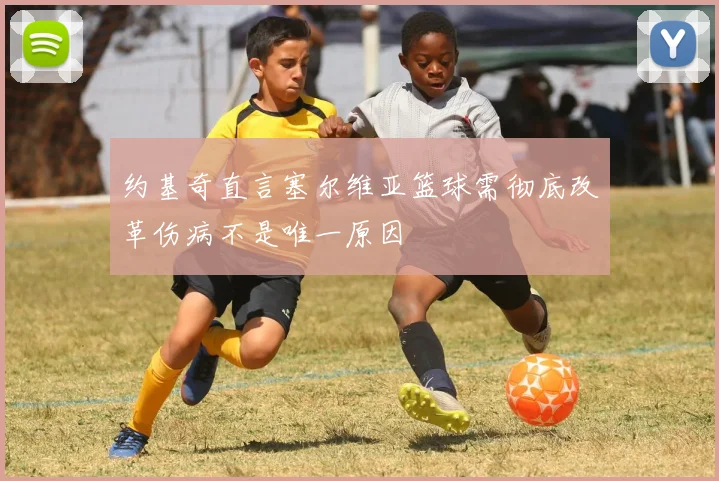 约基奇直言塞尔维亚篮球需彻底改革伤病不是唯一原因