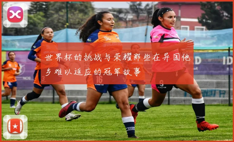 世界杯的挑战与荣耀那些在异国他乡难以适应的冠军故事