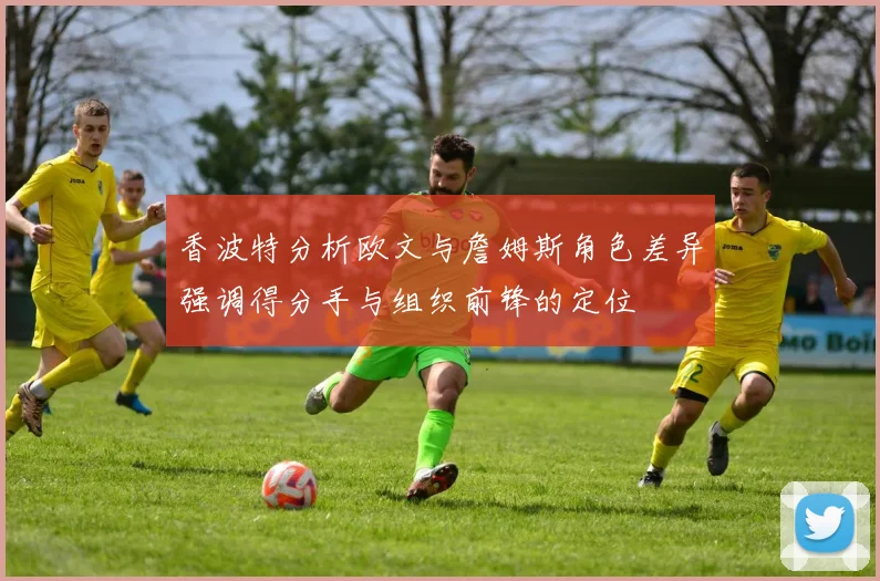 香波特分析欧文与詹姆斯角色差异强调得分手与组织前锋的定位